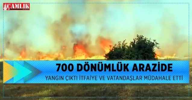 Yeniyer Beldesi Karakız Mahallesinde 700 dönümlük arazide yangın meydana geldi