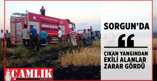 Sorgun Kabalı ve Erkekli köylerinde çıkan yangında ekili alanlar zarar gördü
