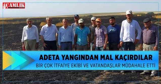 Adeta yangından mal kaçırdılar