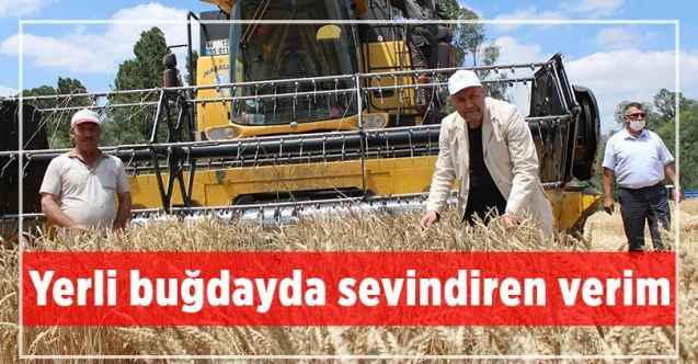 Yozgat'ta ekimi gerçekleştirilen yerli buğdayda sevindiren verim