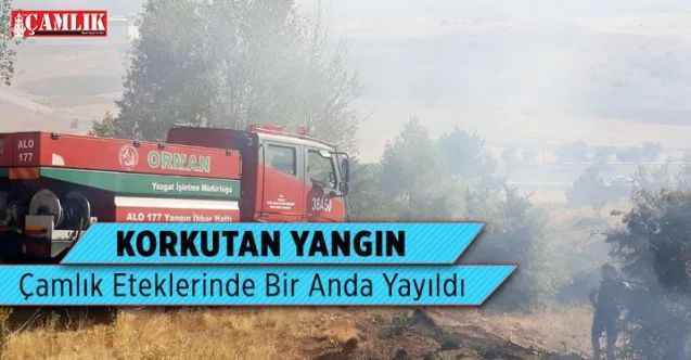 Yozgat'ın Göz Bebeği Çamlık Eteklerinde Korkutan Yangın... Alevler Rüzgarın da Etkisi ile Kısa Sürede Yayıldı