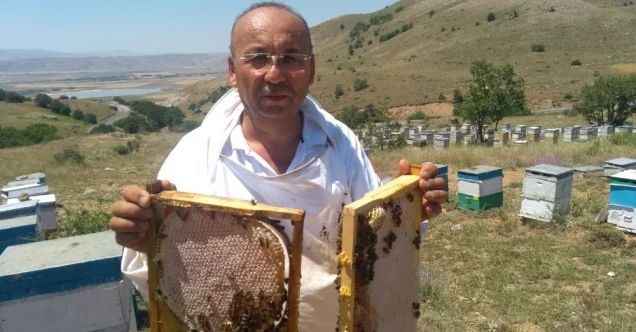 ’Bal’lı sezon