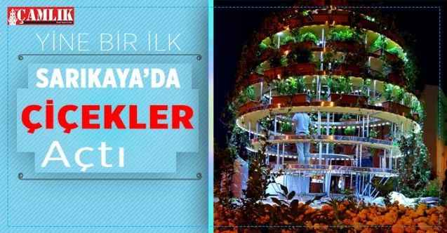 Sarıkaya'da çiçekler açtı