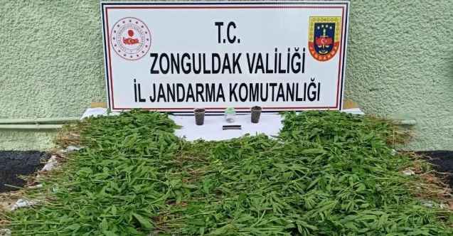 Jandarmadan uyuşturucu operasyonu