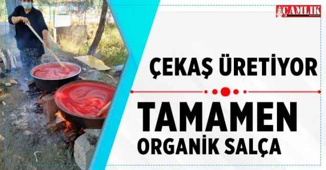 ÇEKAŞ'lı kadınlardan organik salça