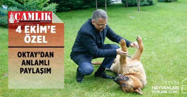 Cumhurbaşkanı Yardımcısı Fuat Oktay'dan 4 Ekim Paylaşımı... Anlamlı Bir Mesaj Verdi