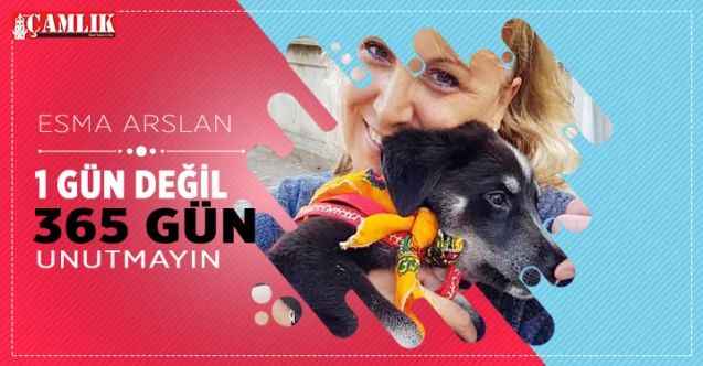 4 Ekim Dünya Hayvan Hakları Günü: 1 Gün Değil 365 Gün Unutmayın