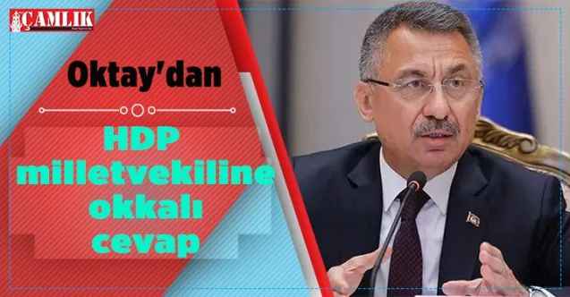 Cumhurbaşkanı Yardımcısı Oktay'dan HDP milletvekiline okkalı cevap