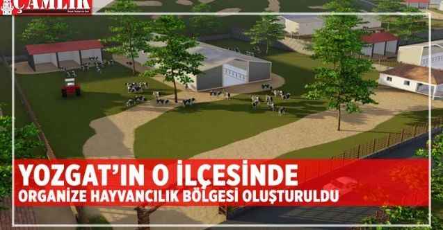 Çekerek'te Organize Hayvancılık Bölgesi Oluşturuldu