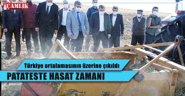 Yozgat'ta yerli patateste hasat yapıldı