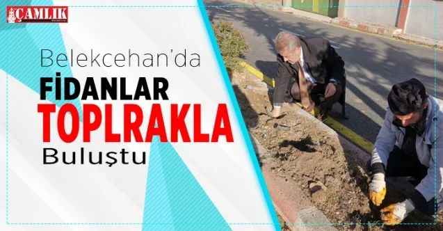 Belekcehan'da fidanlar toprakla buluştu