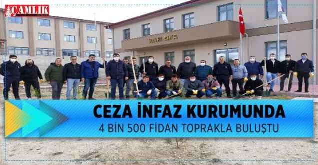 Ceza İnfaz Kurumunda 4 bin 500 fidan toprakla buluştu