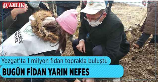 Yozgat’ta 1 milyon fidan toprakla buluştu