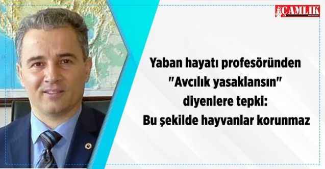Yaban hayatı profesöründen "Avcılık yasaklansın" diyenlere ilginç tepki: Bu şekilde hayvanlar korunmaz