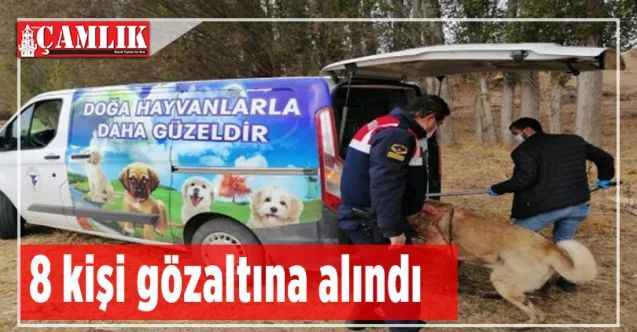 Yozgat'ta bahisle köpek dövüştüren 8 kişi gözaltına alındı