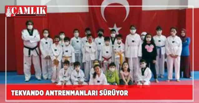 Tekvando antrenmanları sürüyor