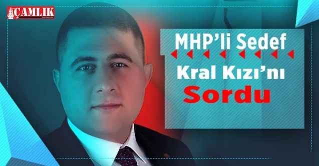 MHP Yozgat Milletvekili Ethem Sedef, Kral Kızı’nı sordu