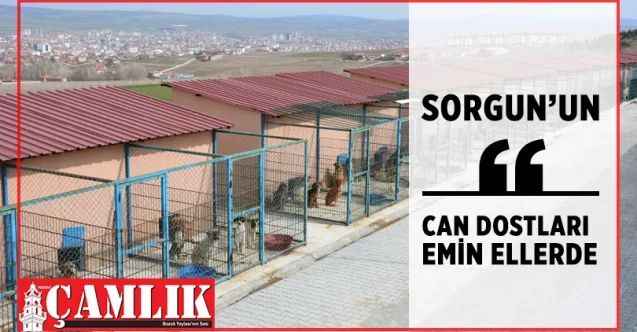Sorgun'un can dostları