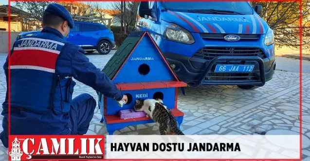 Çayıralan İlçe Jandarma ekiplerinden şehrin çeşitli bölgelerine kedi evi