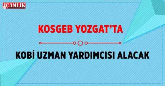 Kosgeb Kobi Uzman Yardımcısı Alacak