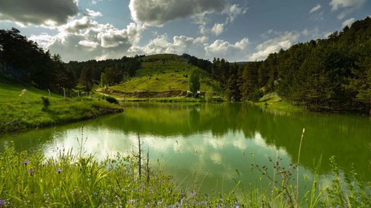 Akdagmadeni Doga 2