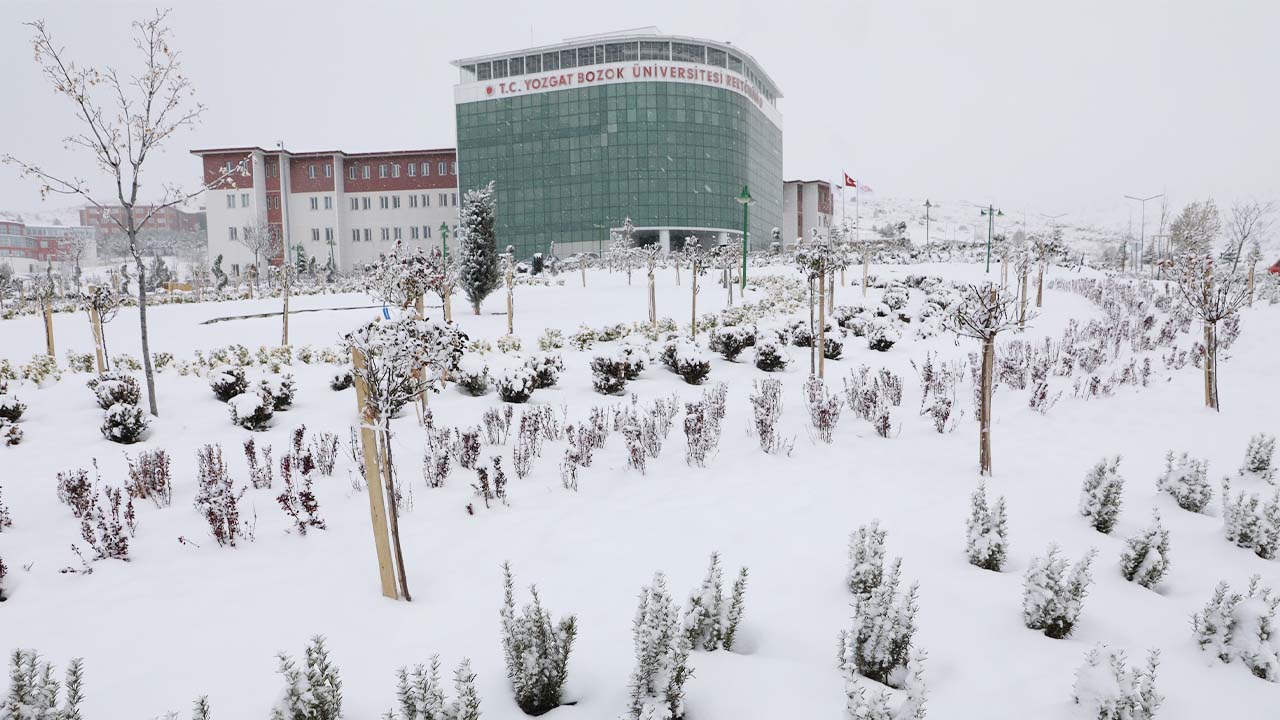 Yobü Kar Manzara (3)