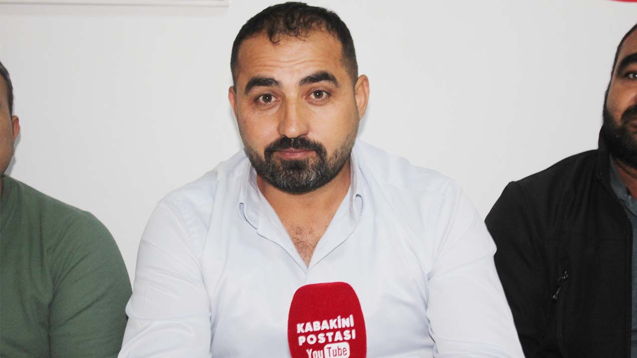 Çadırardıç (4)