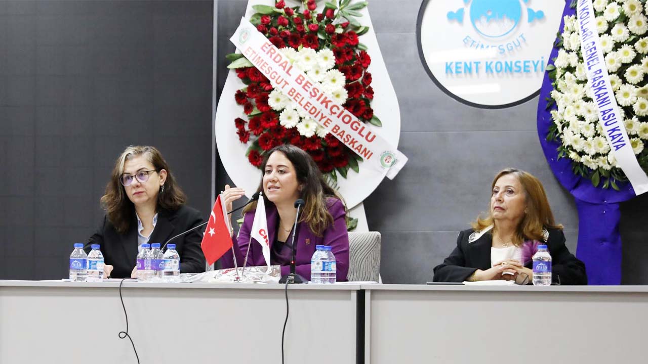 Etimesgut Kadına Şiddet (4)