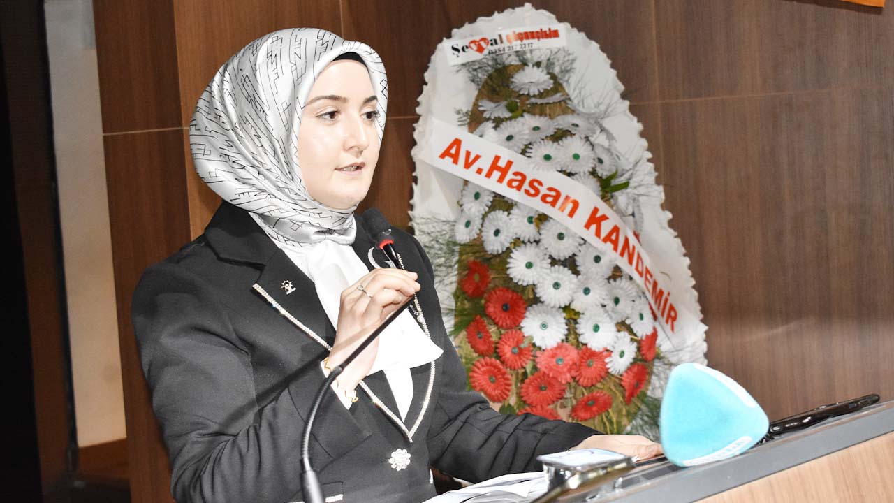 Ak Parti̇ Kadin Kollari (11)
