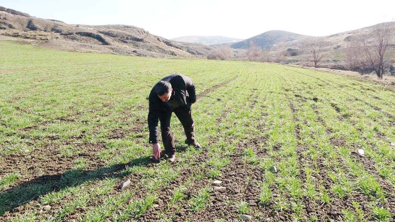 Çiftçiler Kara Düşünüyor (3)