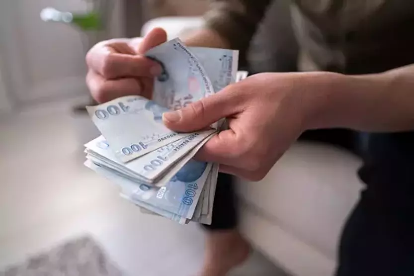 Devlet Desteği̇ (4)