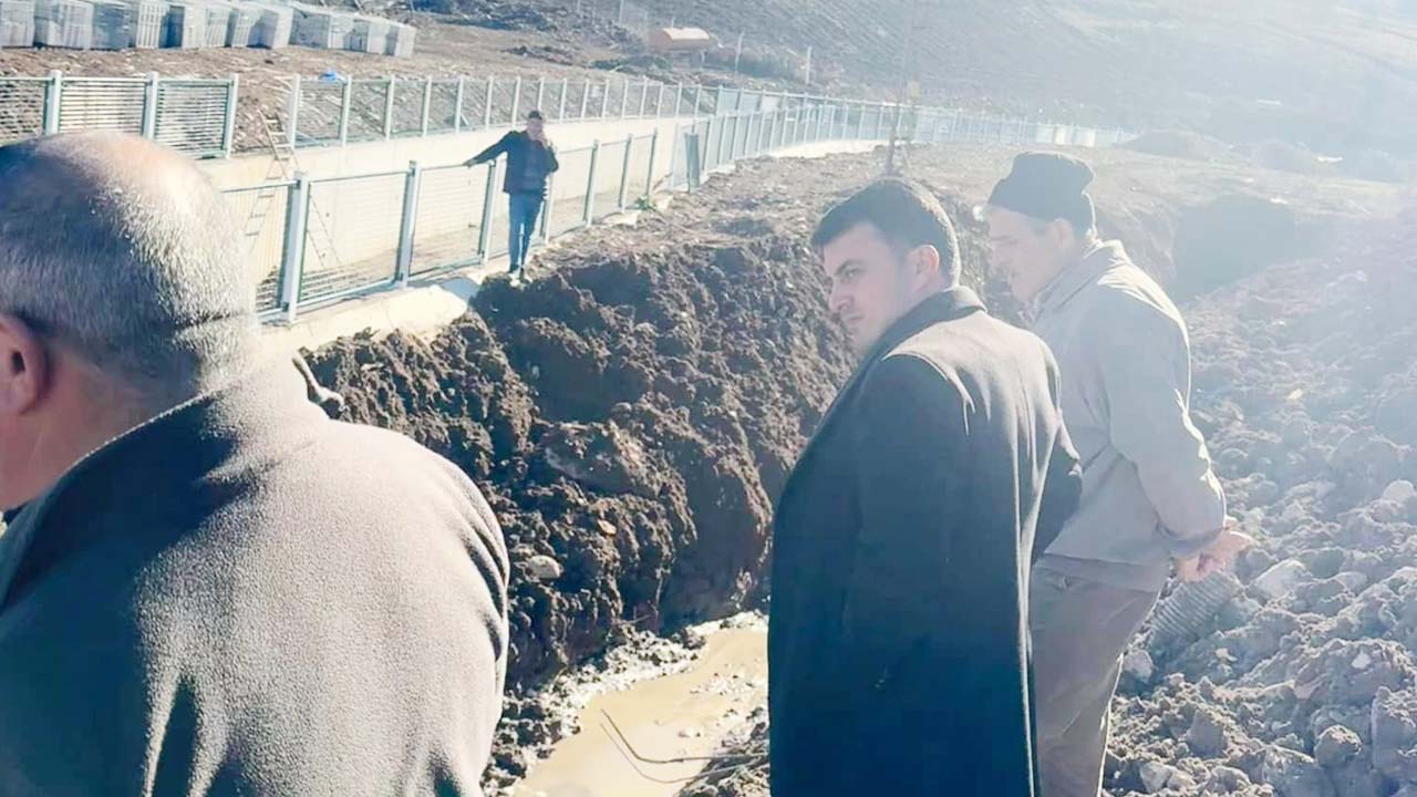 Özükavak (3)