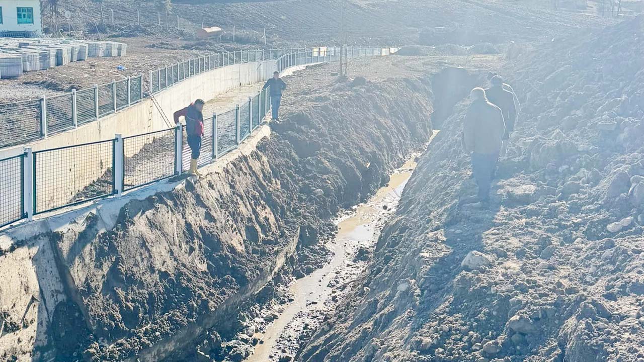 Özükavak (4)