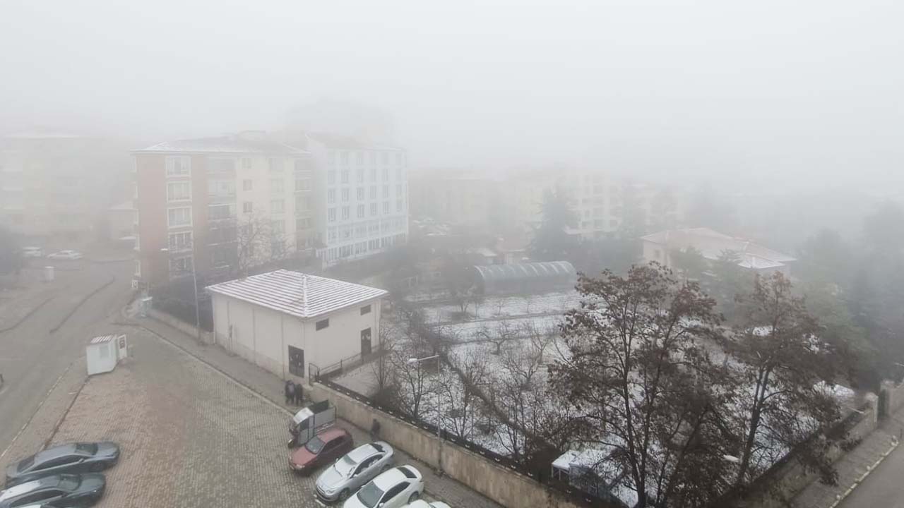 Yozgat Pus (2)-1