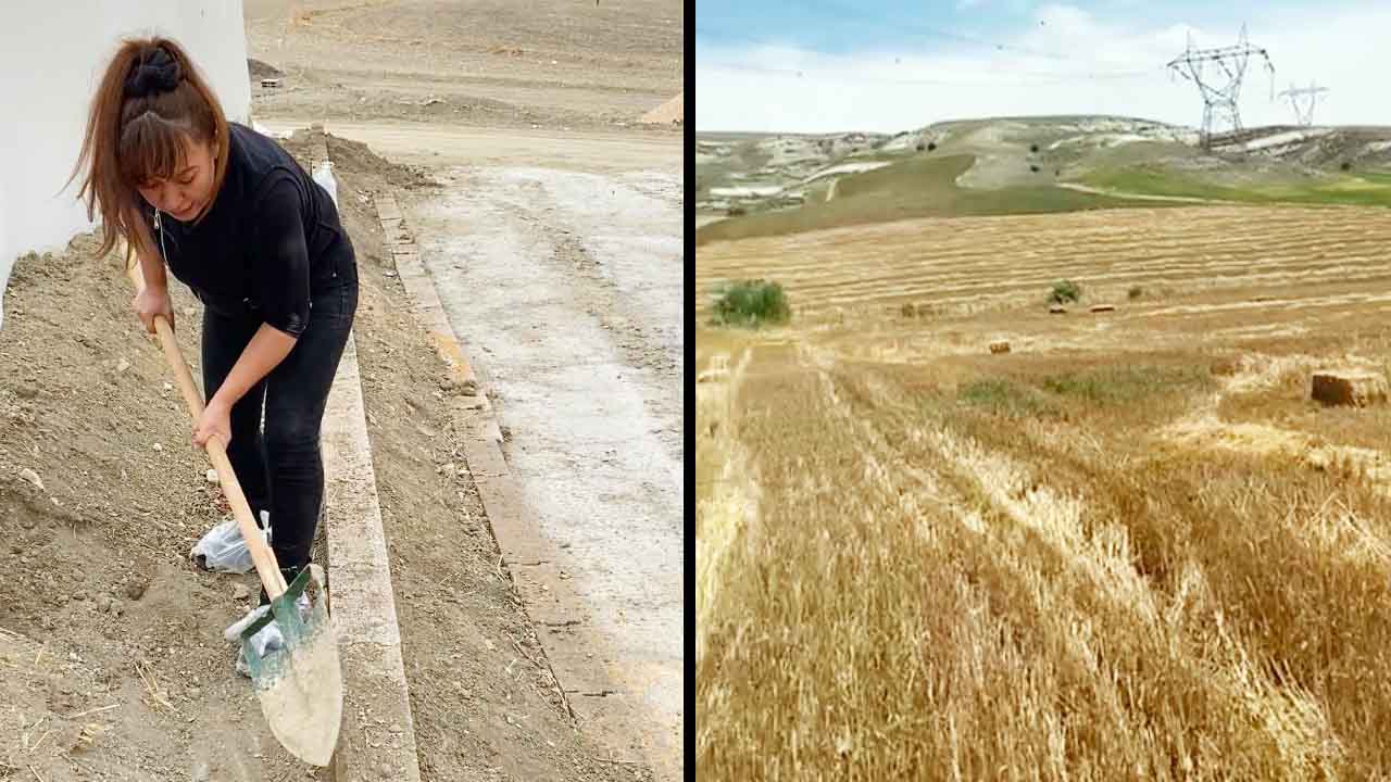 Ankara Sincan Kadinlar Mantar Uretim Basarisi 2