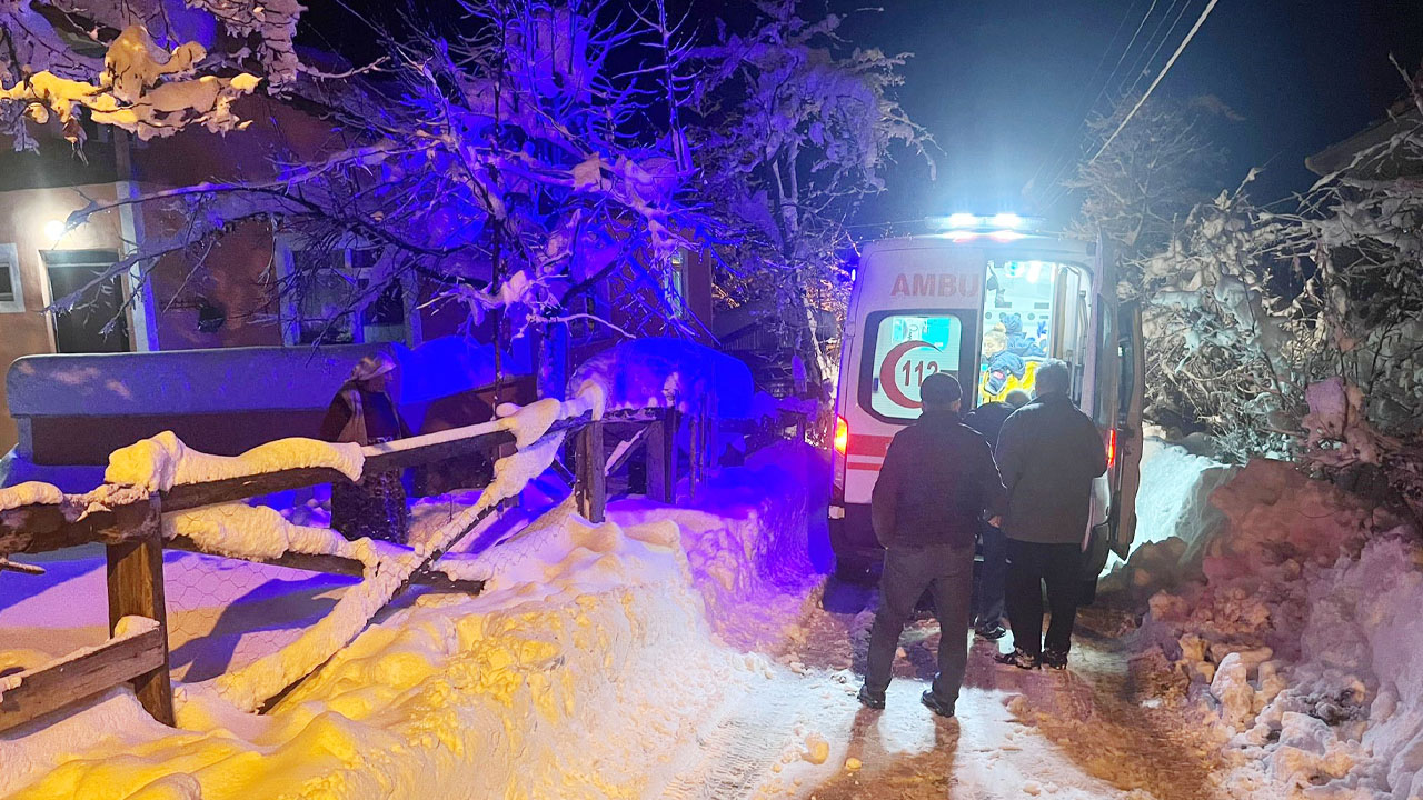 Kastamonu Kar Seferberligi 3