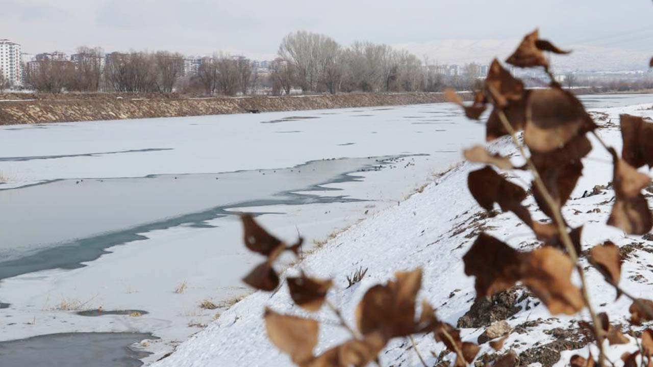 Sivas Buz (1)