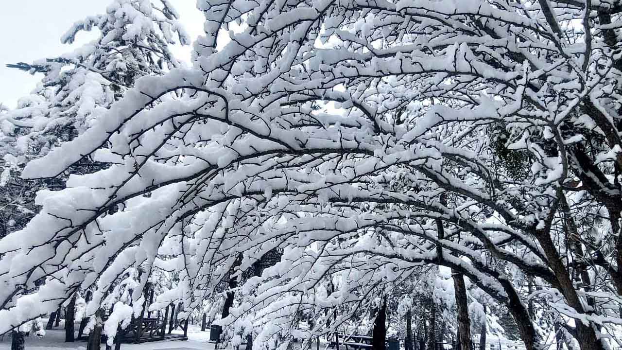 Yozgat Kar Tatili 1