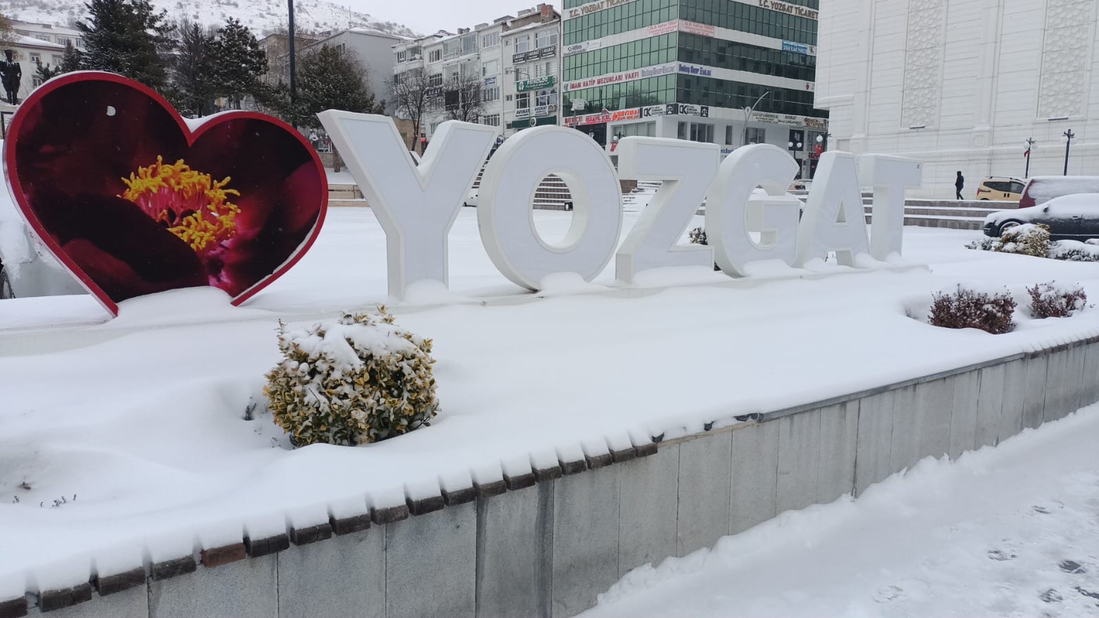 7B230724 9823 4669 9F1E 405E2B1290F0-10