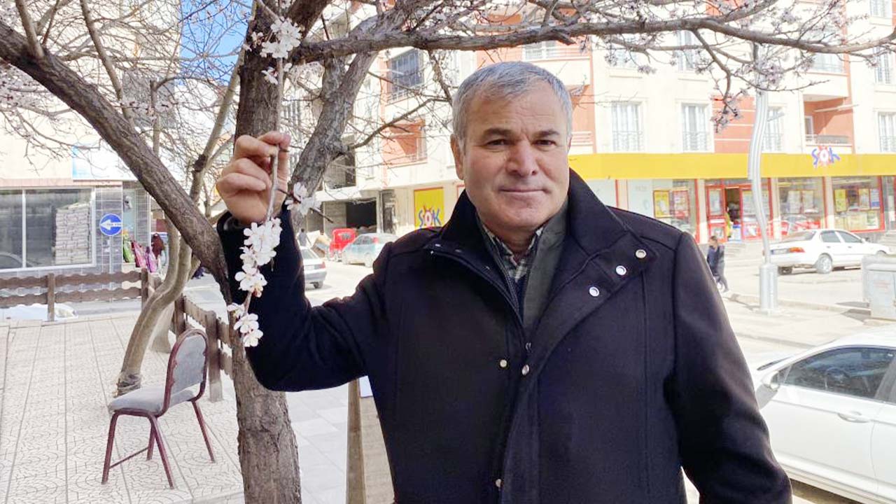 Ağaç Çiçek (2)