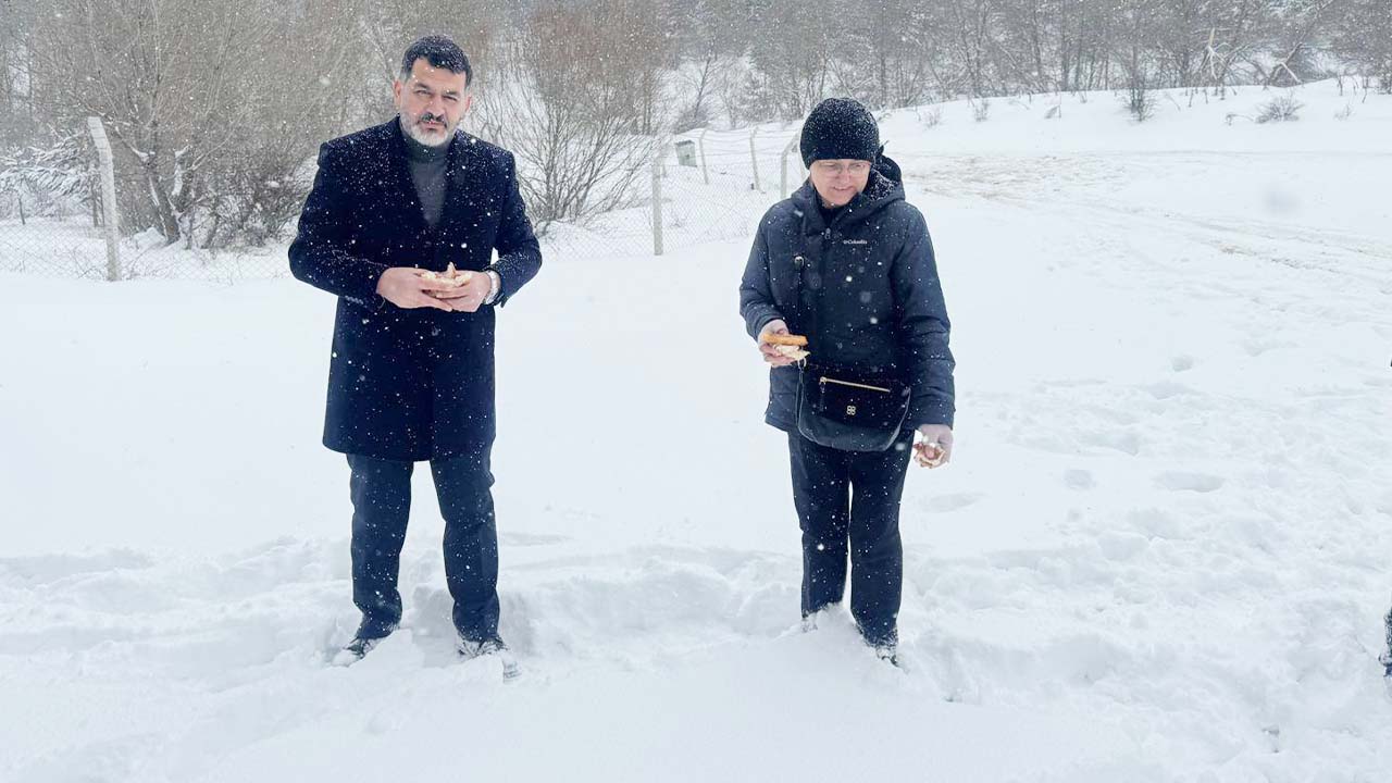 Ak Parti Yardım (2)