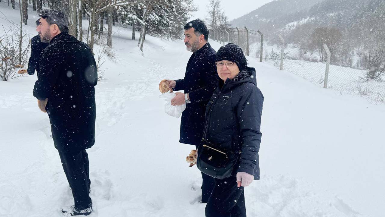 Ak Parti Yardım (5)