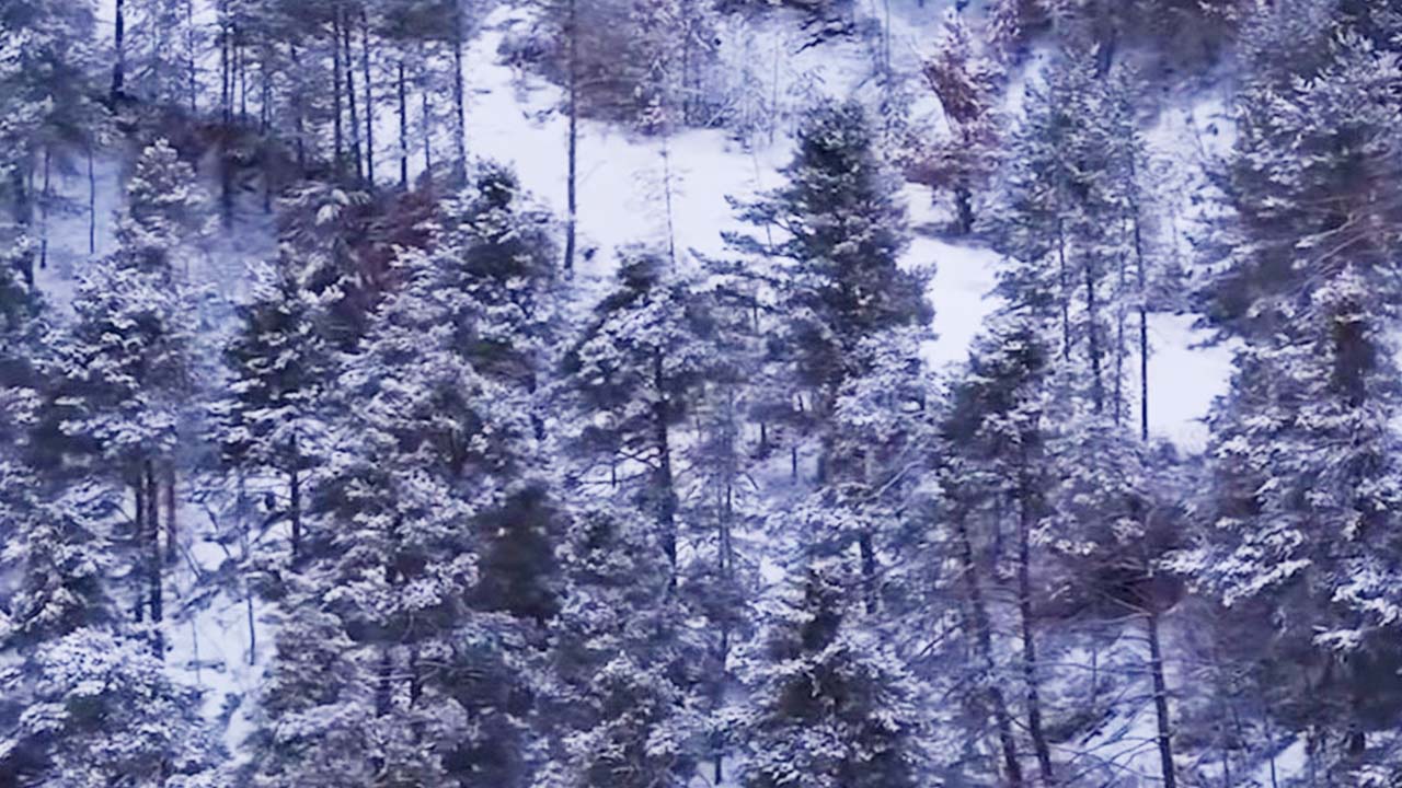 Akdağ Kar Manzara (1)