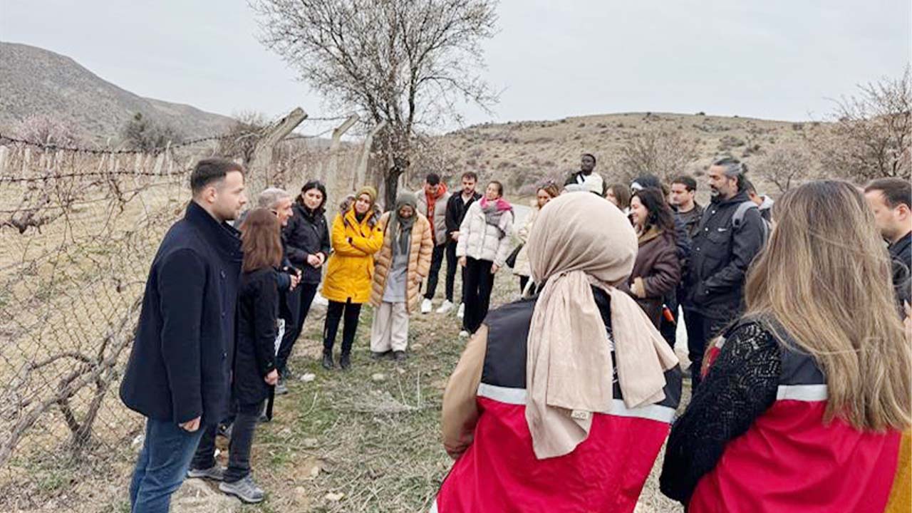 Bağcılık (4)