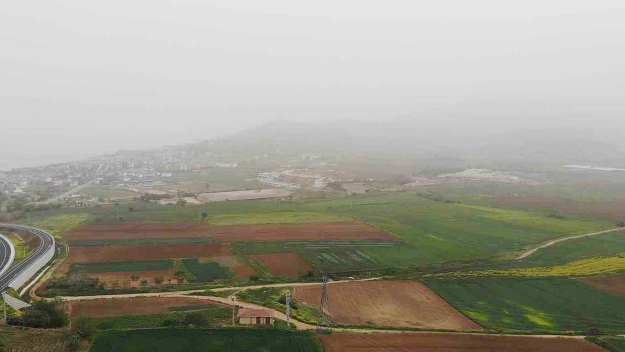 Çöl Yağmuru (2)