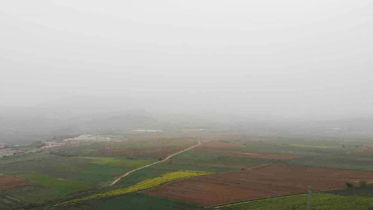 Çöl Yağmuru (3)