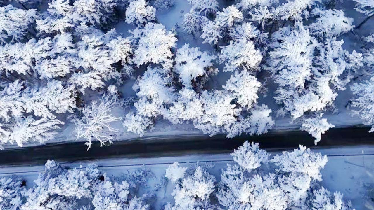 Kar Yozgat Çamlık (4)