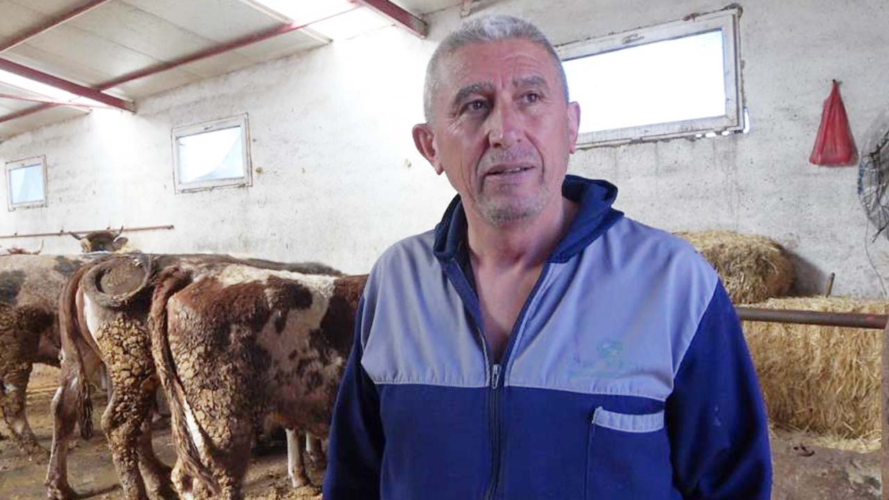 Yozgat Şap Hastalığı (5)
