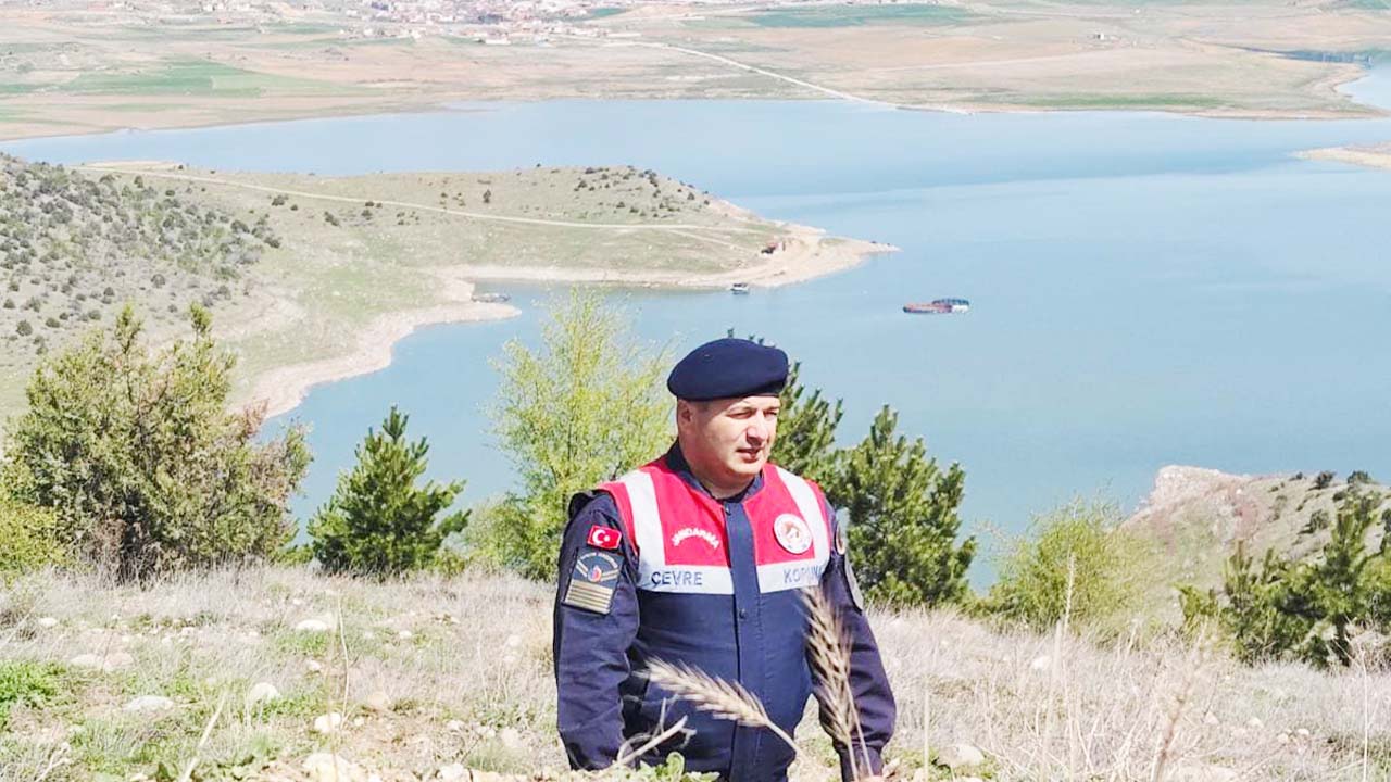 Çekerek Barajı (2)