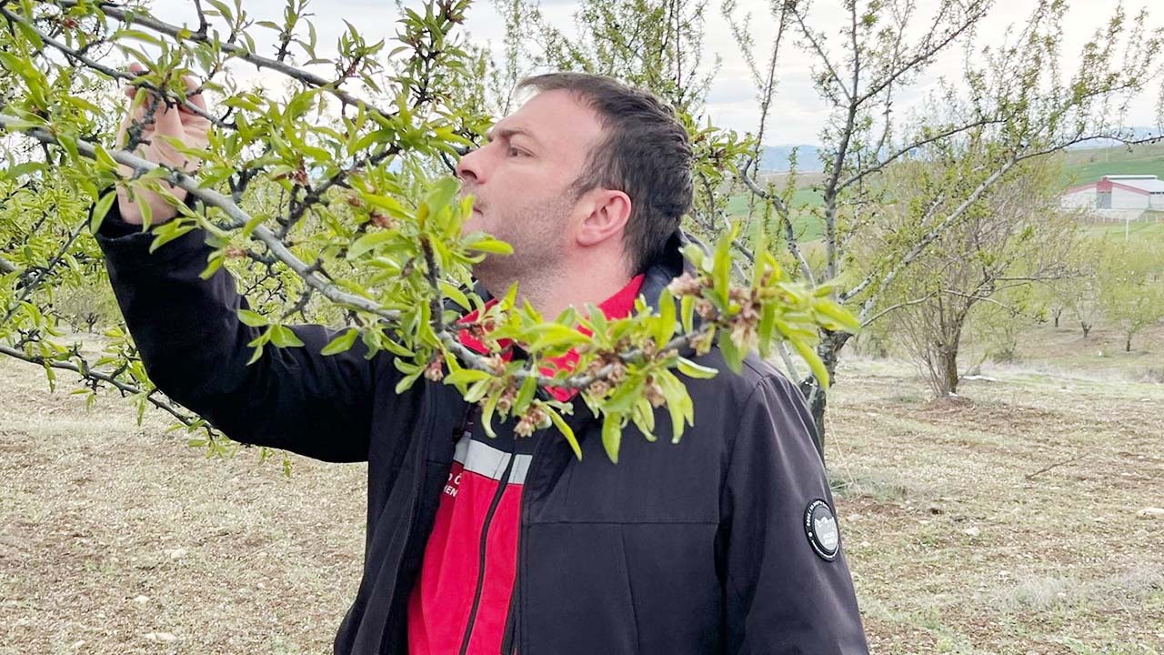Don Valilik Tarım (3)